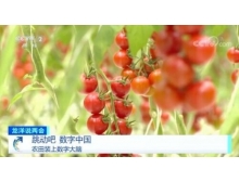 通辽市两会关注数字农业，构建乡村振兴的数字蓝海